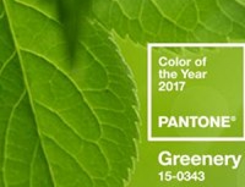 Pantone Colour Of The Year 2017
